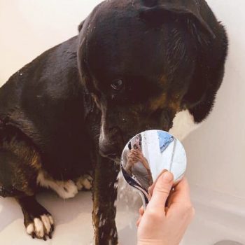 Hades beim duschen in der Badewanne